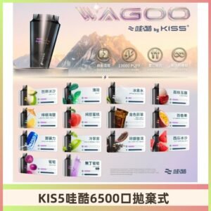 Kis5電子煙 Kiss拋棄式哇酷|WAGOO6500口一次性電子煙