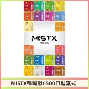 MIST X 鴨嘴獸6500口拋棄式電子煙#台灣現貨#